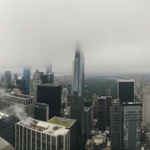 Meet your Posher, Riley